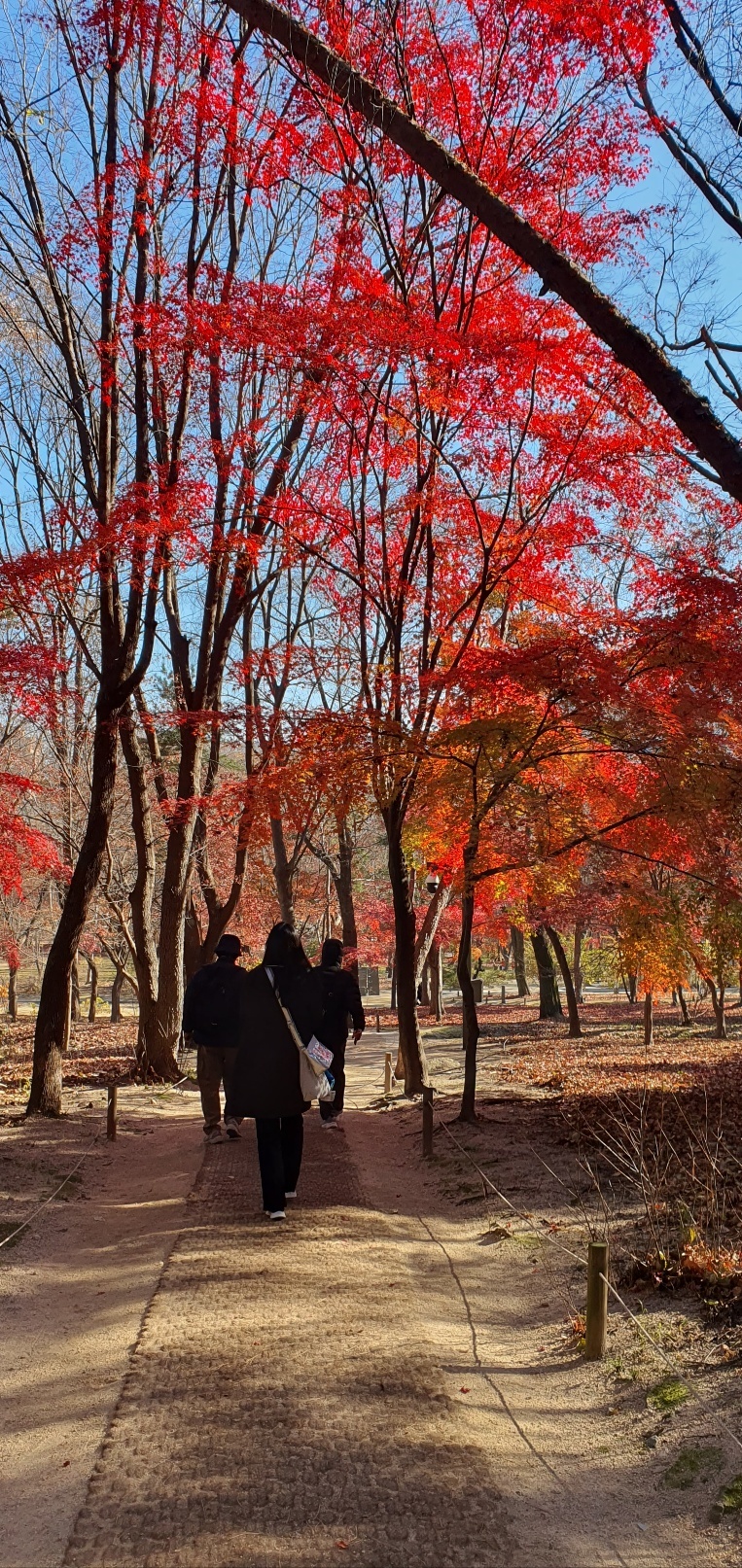 KakaoTalk_20251123_141530929_08.jpg